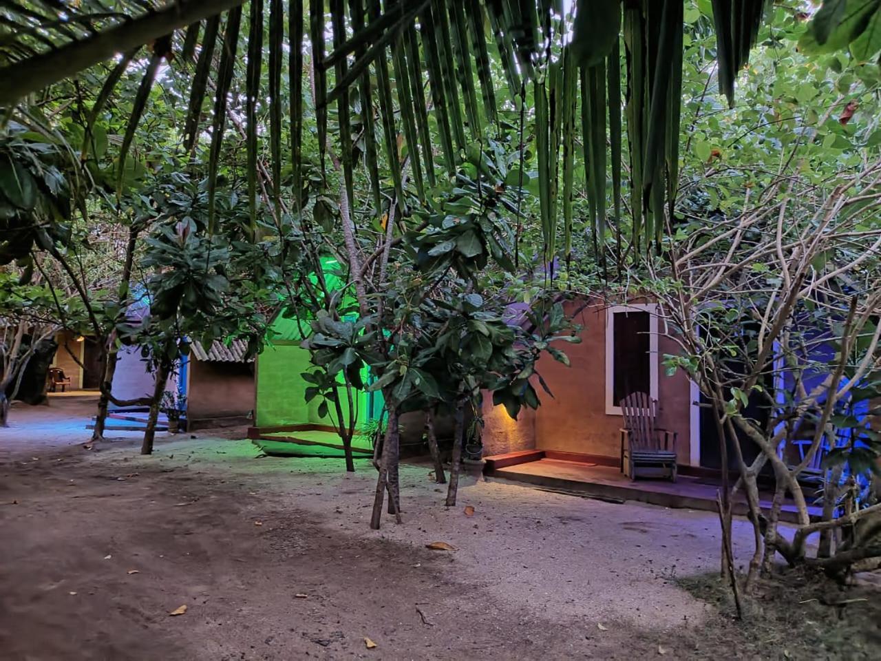 By The C' Cabanas Hikkaduwa Εξωτερικό φωτογραφία
